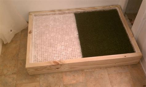 Great news!!!you're in the right place for indoor dog potty. Pin on Animals I love :)