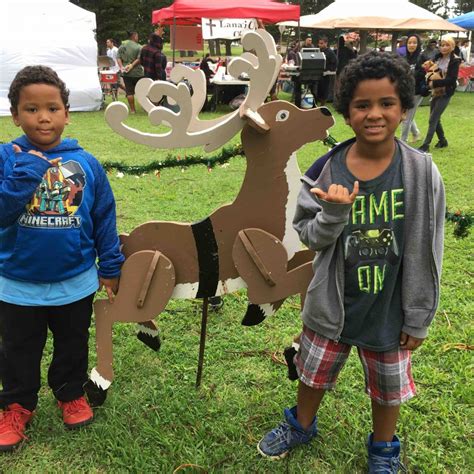 Christmas Tree Lighting 2017 Lanai 96763