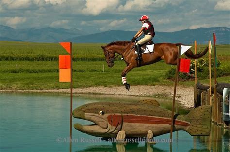Eventing Equestrian Triathlon Cross Country Competition The Event