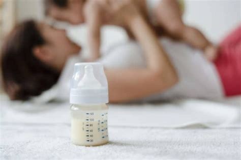 Best Baby Milk Powder To Buy For Your Infant Daayri