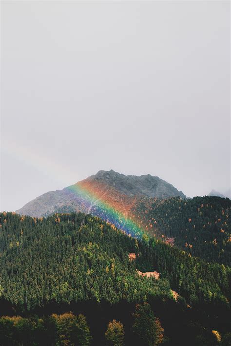 Mountains Rainbow Landscape Forest Trees Hd Phone Wallpaper Peakpx