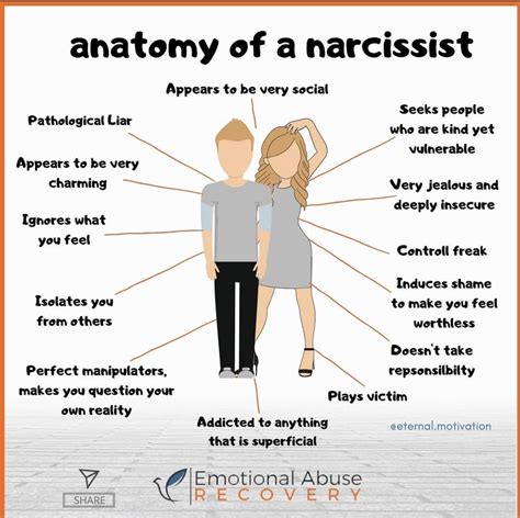 Narcissistic Behaviour Explained NarcisLife