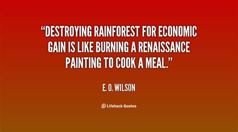 Destroying Tropical Rainforest Quotes Quotesgram