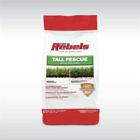 The Rebels Tall Fescue Grass Seed For Sun To Medium Shade 7 Lb