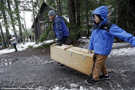 Rare Weasel Species Released In Washington State After Habitat Loss