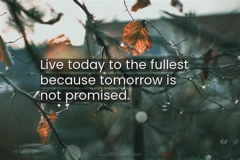 Quote Live Today To The Fullest Because Tomorrow Is Not Promised