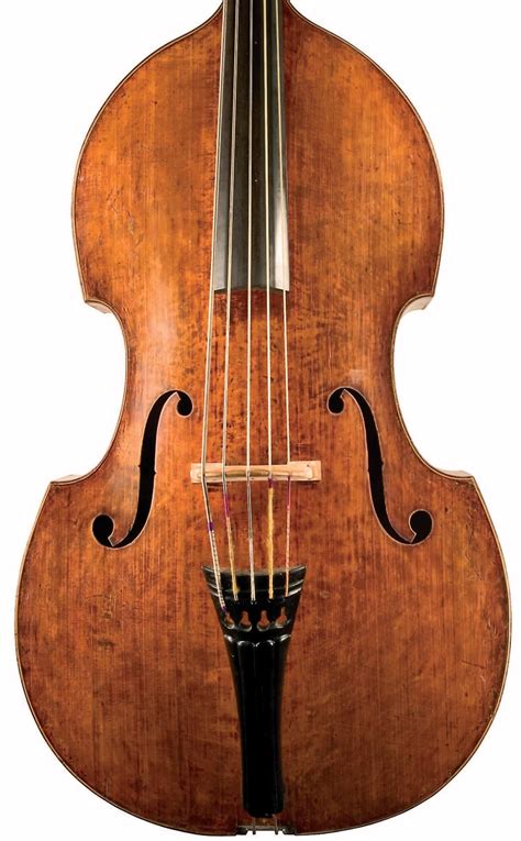 In Focus Studies Of Great And Unusual Stringed Instruments Gallery
