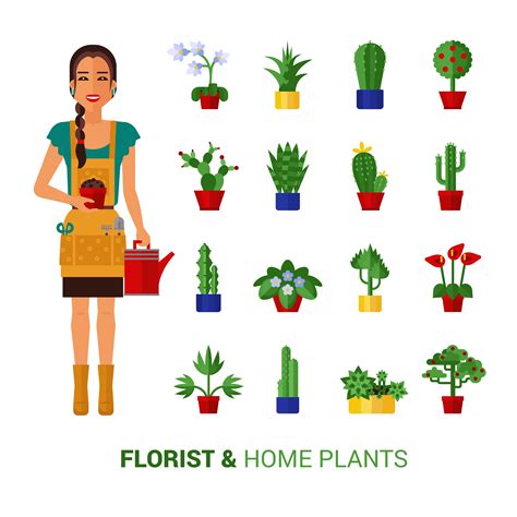 Florist And Home Plants Flat Icons 472635 Vector Art At Vecteezy