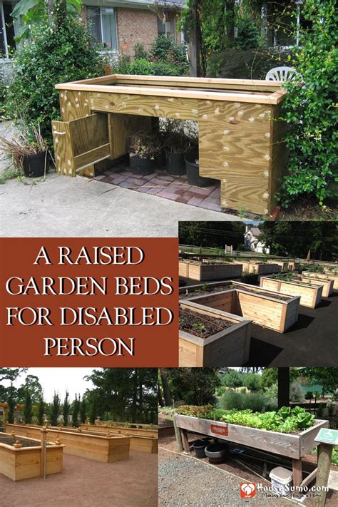 A Raised Garden Beds For Disabled Person