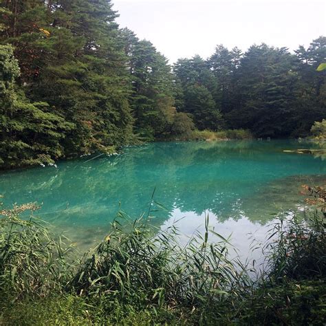 Goshikinuma Lake Kitashiobara Mura Atualizado 2022 O Que Saber