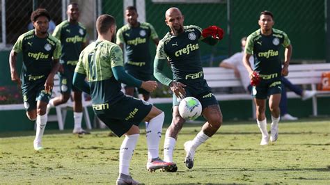 treino palmeiras inicia preparação para jogo de ida das oitavas da copa do brasil mídia palmeirense