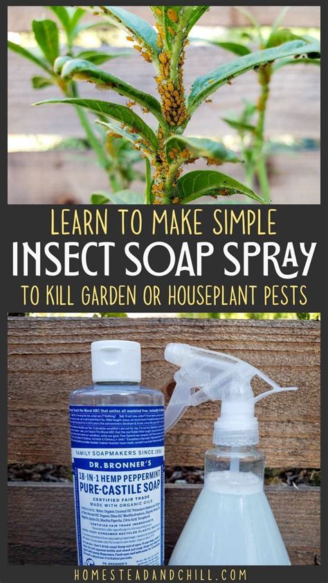 Homemade Organic Garden Soap Spray Recipe Kill Aphids And Other Pest