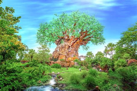 The Tree Of Life At Disneys Animal Kingdom Photograph By Mark Andrew