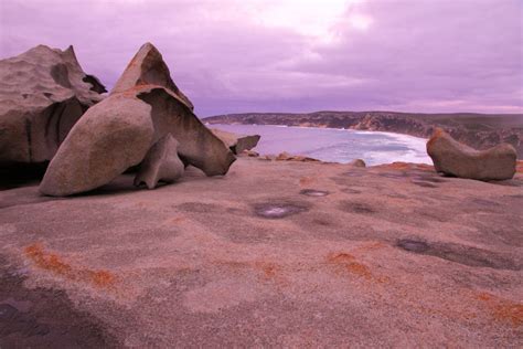 Why You Should Go To Kangaroo Island Photosvideo Le Big Trip