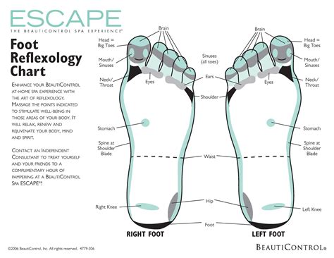 Antiquitäten And Kunst Reflexology Labeled Medial Lateral Foot Chart Holistic A5a4a3 A2