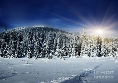 Beautiful Winter Landscape With Snow Covered Trees Photograph By Boon