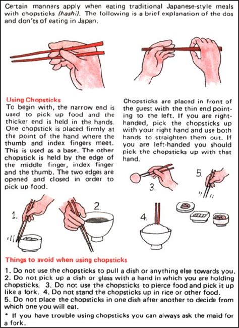 If that isn't the case, you can rest your chopsticks with the end of the chopsticks on the edge of your plate or your bowl to keep them from directly touching the table. How to use chopsticks properly. Dining etiquette. #infographics | Just for the Fun of It ...