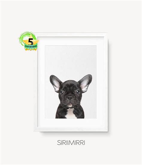 French Bulldog Print Frenchie Print French Bulldog Wall Art Etsy