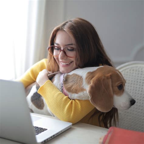 Activities To Keep Your Dog Distracted While You Work From Home