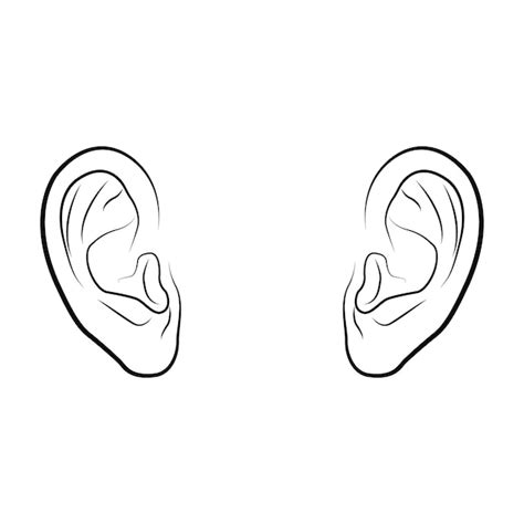 Premium Vector Free Vector Human Ear Outline