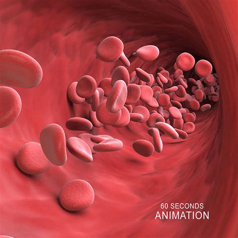 Blood Cells Flowing Animation 3d Model Animated Cgtrader
