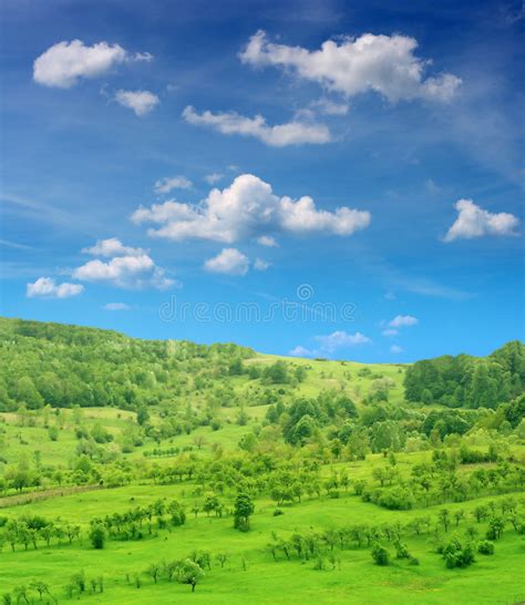 Green Hill And Blue Sky Stock Image Image Of Landscape 5544721