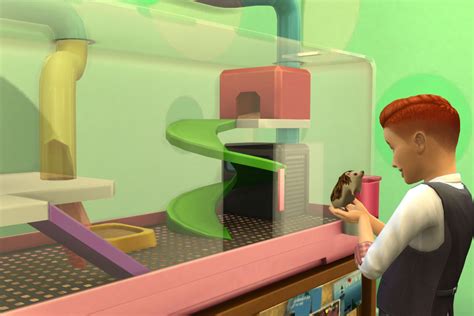 How To Get Hamsters In Sims 4 Hamster Spruce