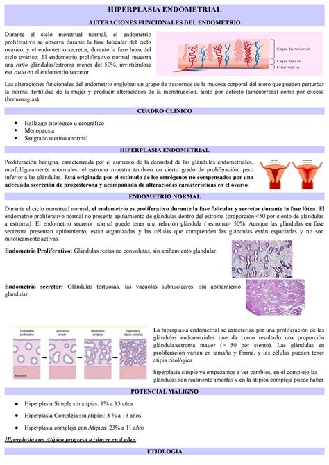 Rociar Pegajoso Puesta De Sol Endometrio Secretor Inicial Abajo Masaje