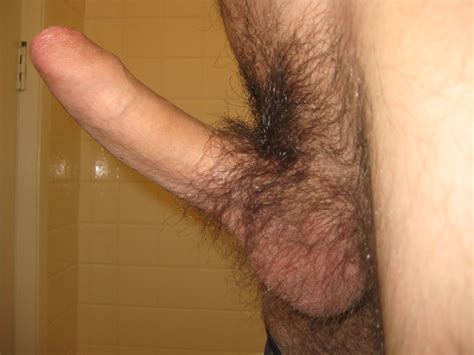 Img6845 In Gallery My Hairy Cock Picture 4 Uploaded