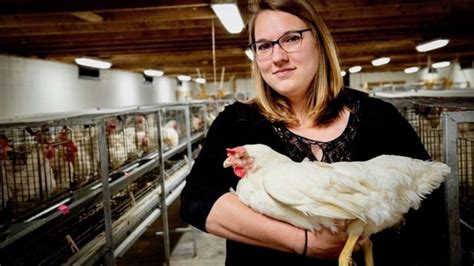 Ua Scientist Working On Project To Develop More Water Efficient Chickens