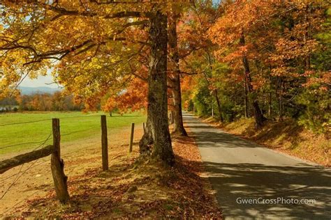 Cades Cove Cades Cove Beautiful Places Smoky Mountains