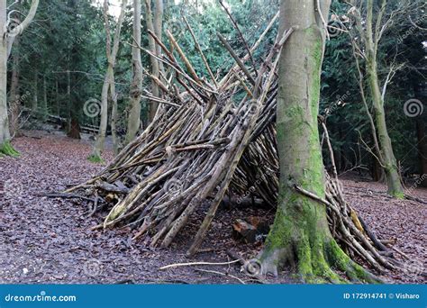 Wooden Shelter In The Woods Stock Image Image Of Leaf Root 172914741