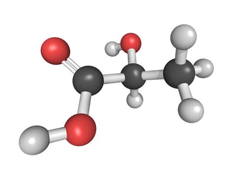 12 Ejemplos De Lípidos Son Moléculas Formadas Por Hidrocarburos