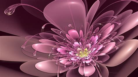 1920 X 1080 Abstract Flowers Wallpapers Top Free 1920 X 1080 Abstract