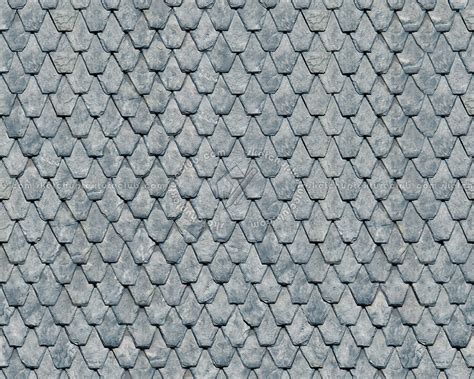 Slate Roofing Texture Seamless 03903