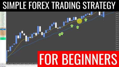 Forex Videos Fast Scalping Forex Hedge Fund