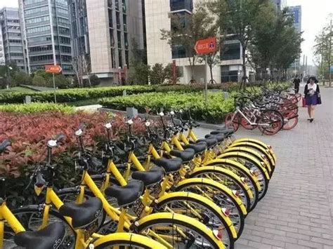 共享单车大败局中国创业史上最疯狂的试错 百科TA说
