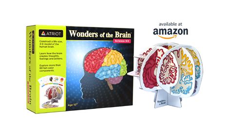 Wonders Of The Brain Science Kit For Kids Science Kit For Teens