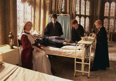 Harry Potter And The Chamber Of Secrets Hermione Petrified Scene