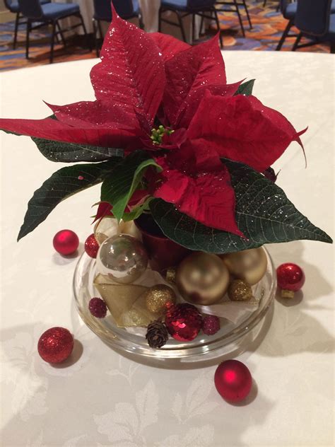 Poinsettia Centerpieces 6 Each Materials From Trader Joes And
