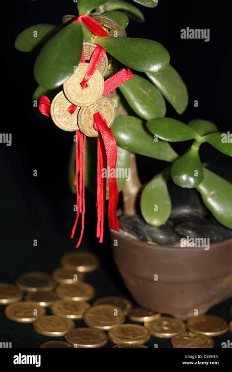 Feng Shui Coins On Money Tree With Gold Coins Symbolising Success And