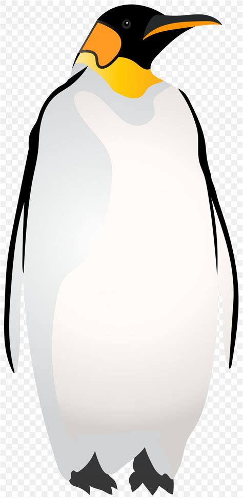King Penguin Black And White Clip Art Png 3897x8000px Penguin