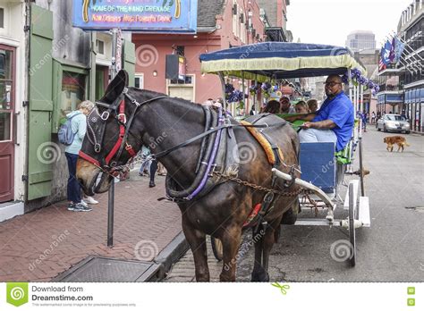 Horse Drawn Cab At French Quarter New Orleans New Orleans Louisiana