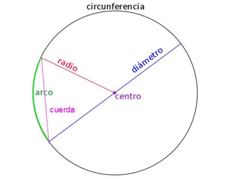 Cuerda Geometría Longitud Teorema Y Ejercicios