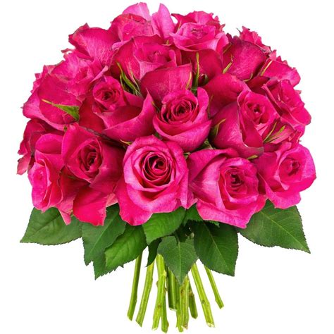 Bouquet De 30 Roses Fuchsias Livraison Express Florajet