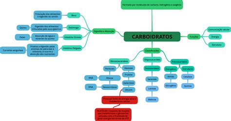 Mapa Mental De Carbohidratos