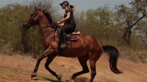 African Dream Horse Safari South Africa Youtube