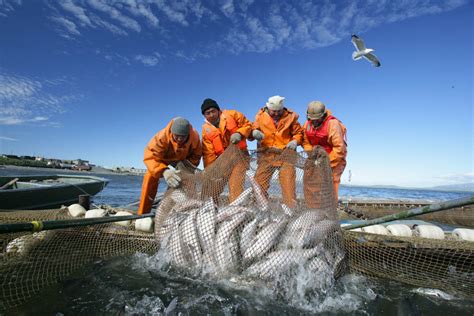 Світовий обсяг продукції морського рибальства