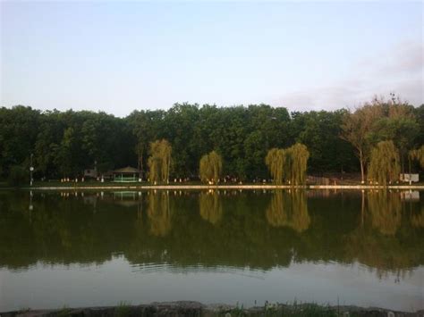 Cantitati mari de substante toxice se revarsa de pe. Lacul Ciric - Iaşi