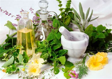 Get To Know These Medicinal Plants Better Hergamut